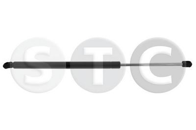 GASFEDER KOFFER-/LADERAUM STC T446220