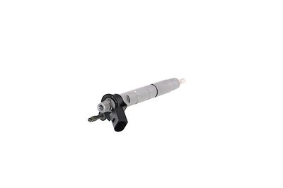 INJECTOR REMANTE 002003001047R 31