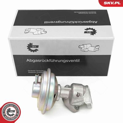 AGR-Ventil ESEN SKV 14SKV258