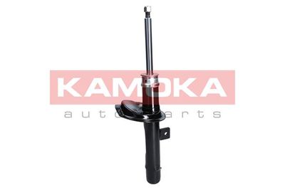 Shock Absorber 2000211