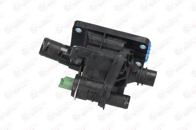 FLANSA LICHID RACIRE BIRTH 8910 2