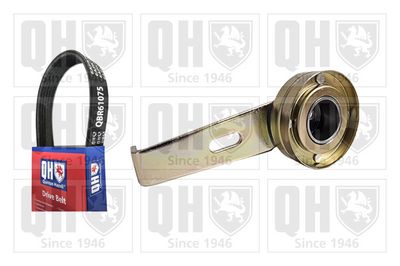 SET CUREA TRANSMISIE CU CANELURI