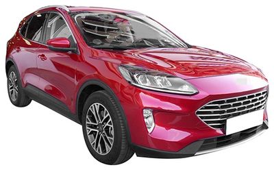 TAMPON PHIRA KG19231 1