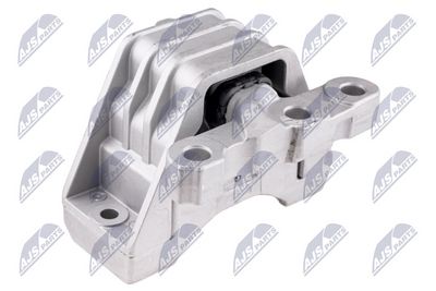 variklio montavimas ZPS-PL-068 NTY