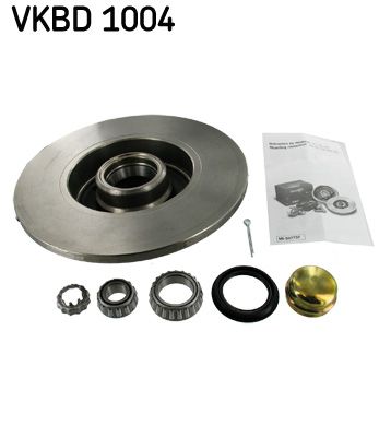 SKF VKBD 1004 Гальмівні диски 