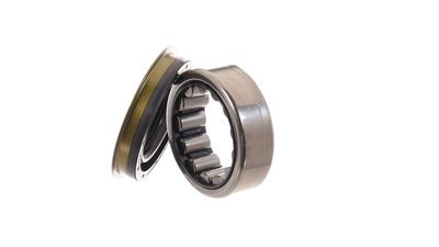 SET RULMENT ROATA SKF VKBA6681 13