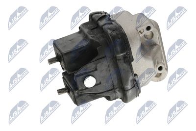 SUPORT MOTOR NTY ZPSCH021 27