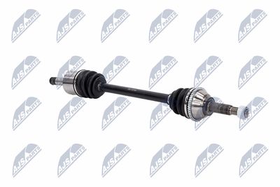 PLANETARA NTY NPWFR031 11