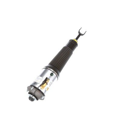 LUFTFEDERBEIN Arnott AS2561 72