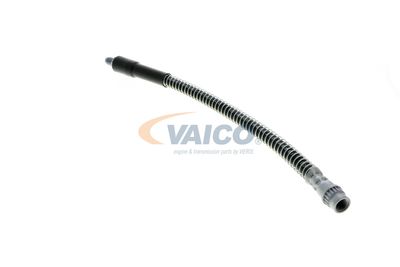 FURTUN FRANA VAICO V464113 18