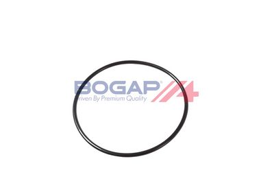 POMPA COMBUSTIBIL BOGAP T1622103 6