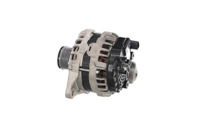 GENERATOR / ALTERNATOR REMANTE 011003000862R 19