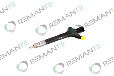 INJECTOR REMANTE 002003002094R 5