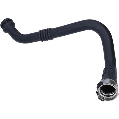 FURTUN EAR SUPRAALIMENTARE