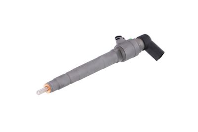 INJECTOR REMANTE 002003001053R 63