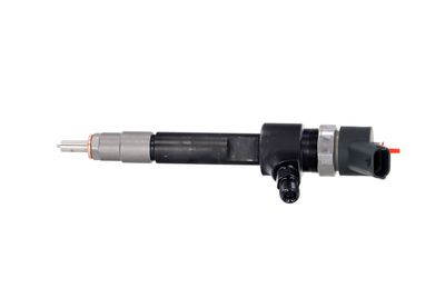 INJECTOR REMANTE 002003001695R 12