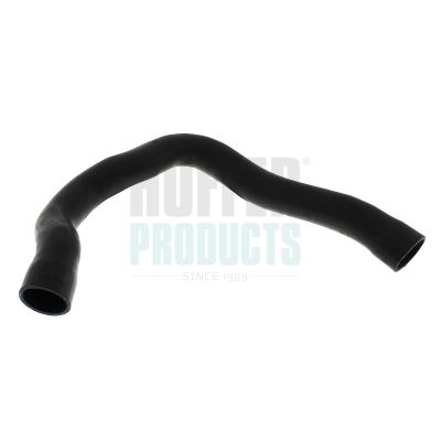 FURTUN EAR SUPRAALIMENTARE