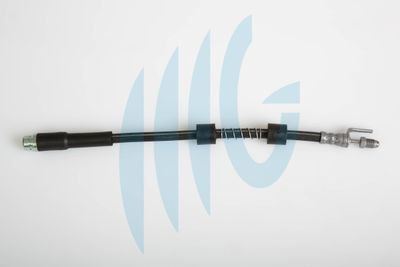 Тормозной шланг RICAMBIFLEX GM 02140385 для FORD TOURNEO