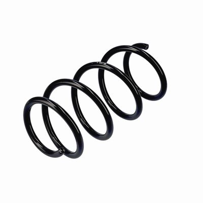 ARC SPIRAL EIBACH R20284 16