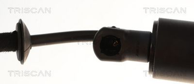 Plynárenská vzpera (pneumatická pružina), zavazadlový priestor TRISCAN 8710 28307