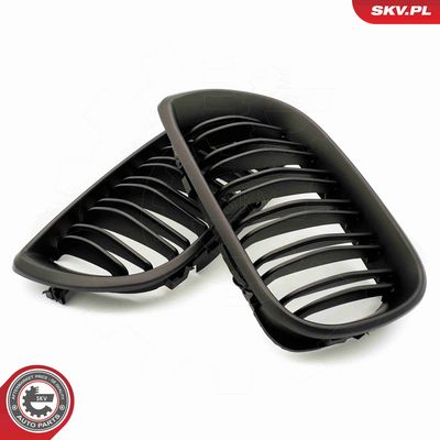 GRILA RADIATOR ESEN SKV 66SKV083 4