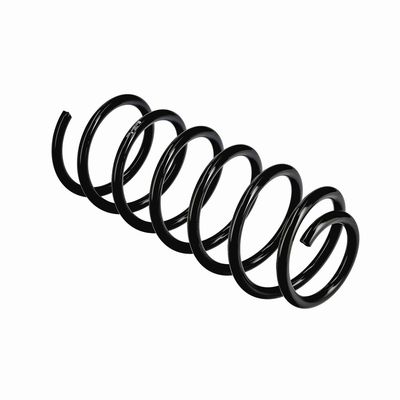 ARC SPIRAL EIBACH R10971 10