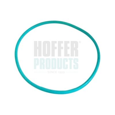 Уплътнение, тапа на горивния резервоар HOFFER GSK02