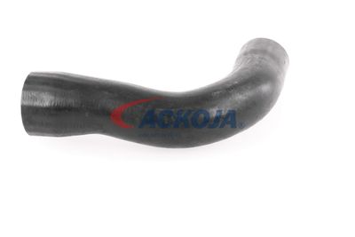 FURTUN EAR SUPRAALIMENTARE ACKOJA A389600 32