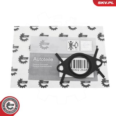 Tesnenie, vedenie AGR ventilu ESEN SKV 53SKV438