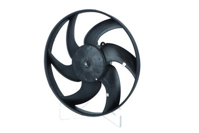 360 Grad Ansicht 4