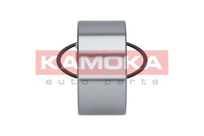 Wheel Bearing Kit 5600019