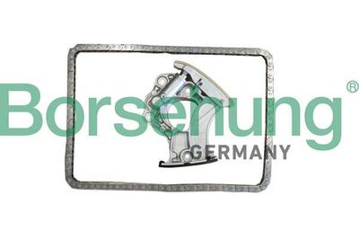 Sada rozvodového řetězu Borsehung B10245