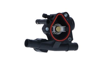 TERMOSTAT LICHID RACIRE NRF 725045 44
