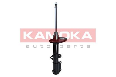 Shock Absorber 2000303