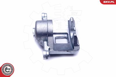 Brake Caliper 46SKV081