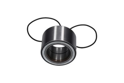 SET RULMENT ROATA Kavo Parts WBK10049 2