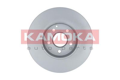 Brake Disc 103271