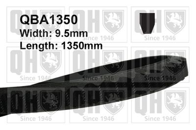 QUINTON HAZELL QBA1350 Клиновой ремень  для OPEL (Опель)