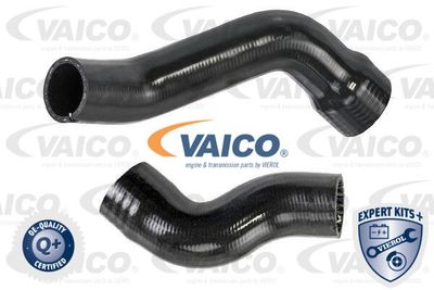 Трубка нагнетаемого воздуха VAICO V24-0987 для FIAT DOBLO