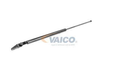 GASFEDER KOFFER-/LADERAUM VAICO V320074 56