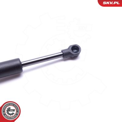 Dujinė spyruoklė, gaubtas