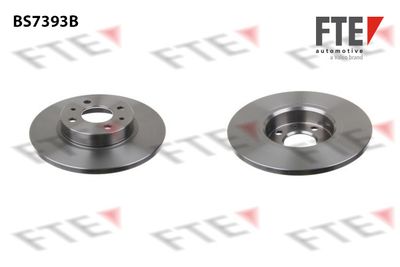 Тормозной диск FTE 9082613 для FIAT 500