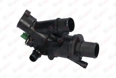 FLANSA LICHID RACIRE BIRTH 8889 2