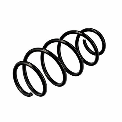 ARC SPIRAL EIBACH R10569 4