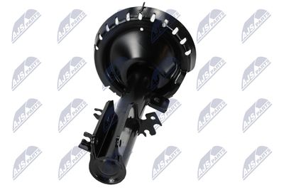 AMORTIZOR NTY ACT042 17