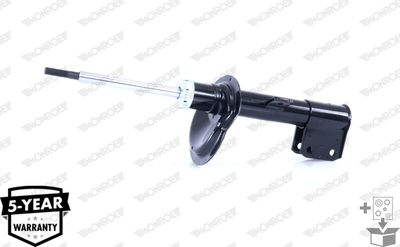 Shock Absorber G7266