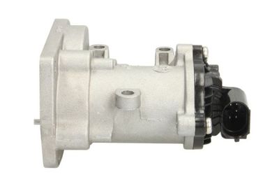 EGR Valve ENT500090