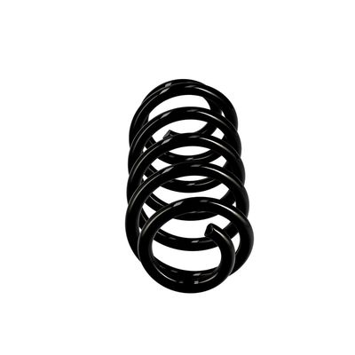 ARC SPIRAL EIBACH R10137 13