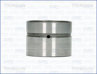 TRISCAN 80-14002 Сухар клапана 