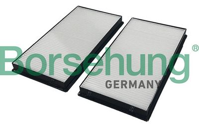 FILTRU AER HABITACLU Borsehung B13481